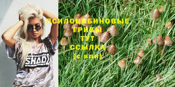 mdma Михайлов
